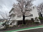 田園調布雙葉幼稚園・小学校 に祝電を届けてまいりました。